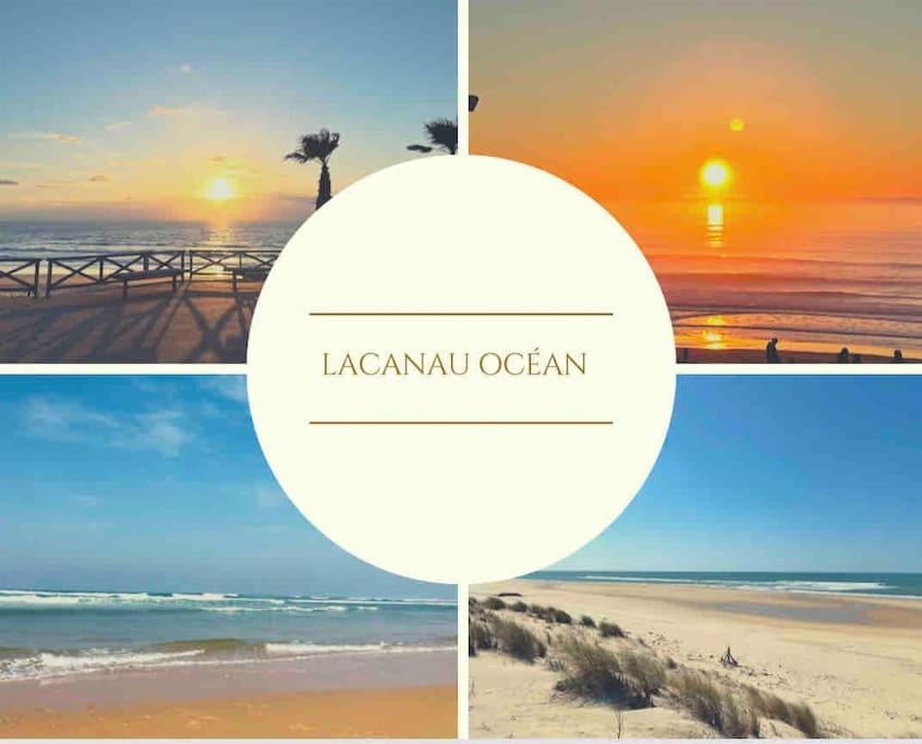Cosy Studio Avec Vue Sur L'Ocean Lacanau Bagian luar foto